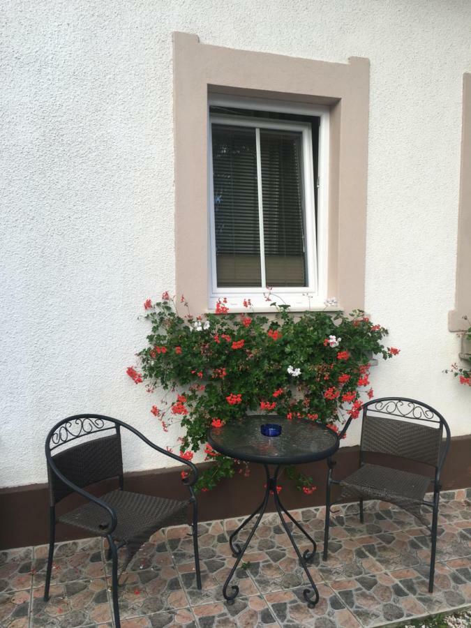 Apartma Eli Bled Kültér fotó